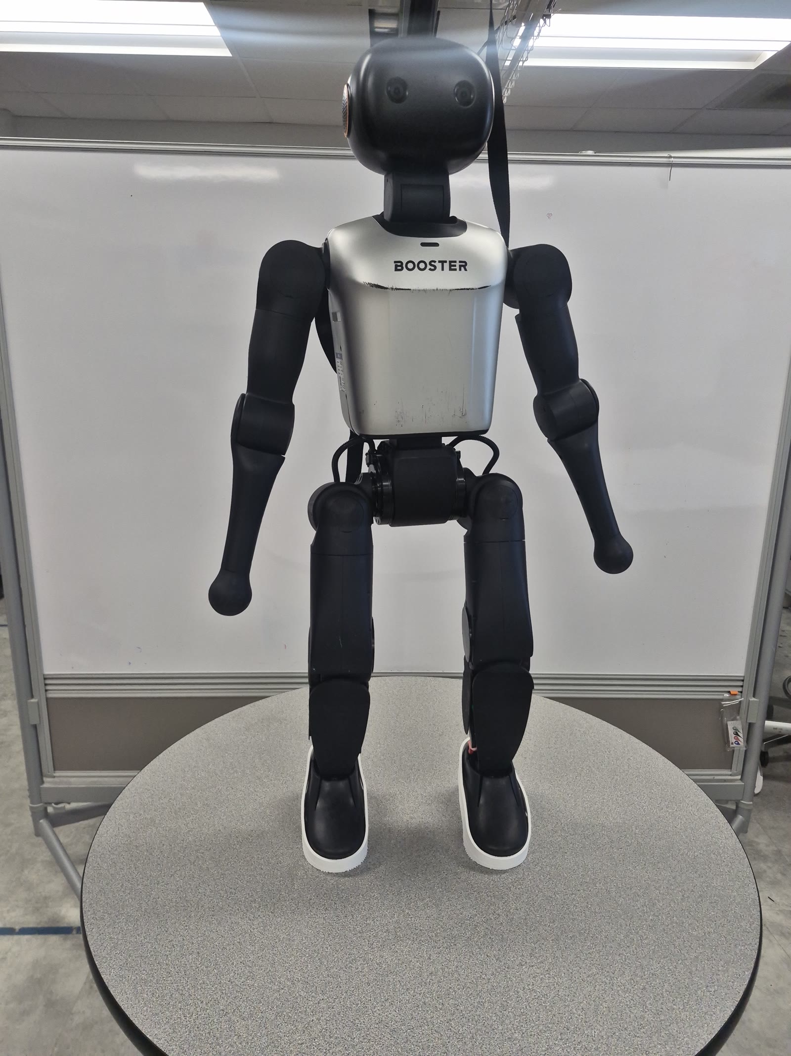 Booster K1 standing on a table in white heel shoes